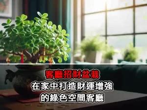 蟾蜍風水2023|蟾蜍要怎麼放？增強財運的風水祕訣 